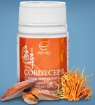 gano excel cordyceps